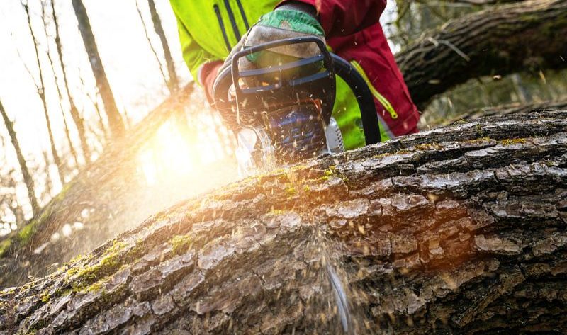 pourquoi les tronçonneuse ont été inventées