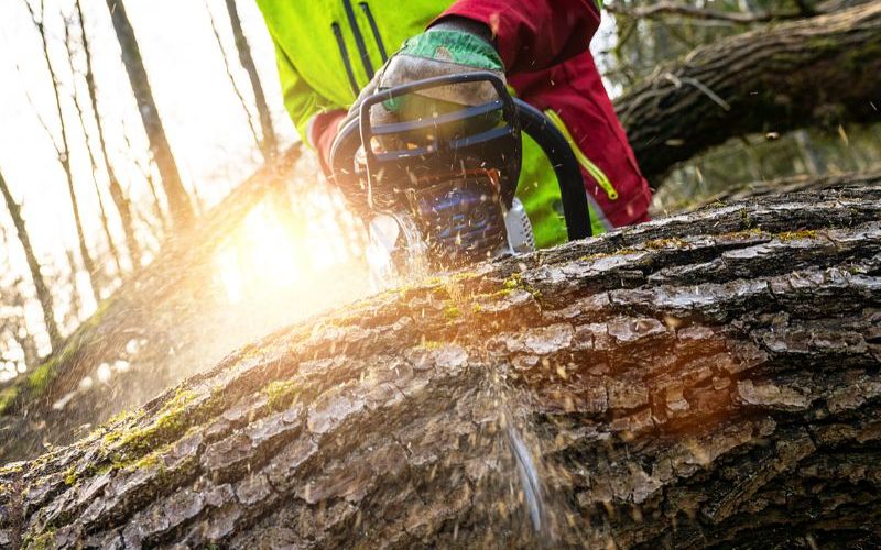 pourquoi les tronçonneuse ont été inventées