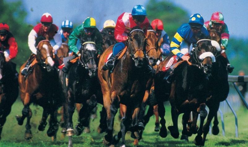 Comment recevoir un bonus pour jouer aux courses