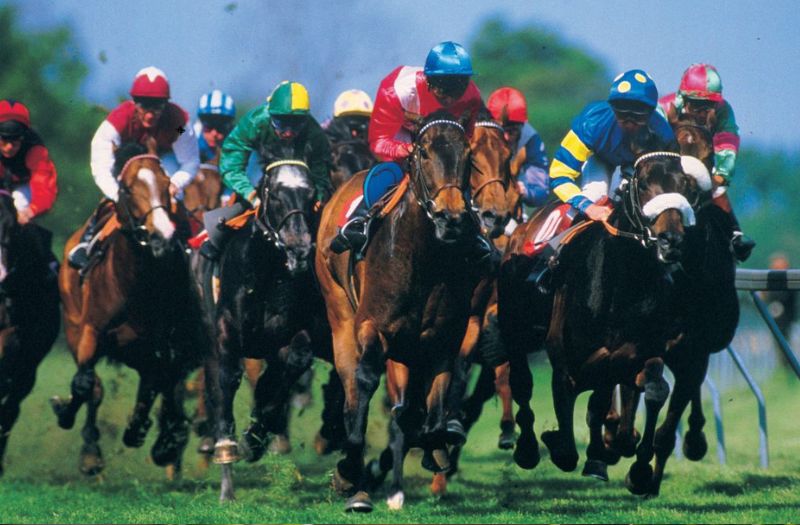 Comment recevoir un bonus pour jouer aux courses