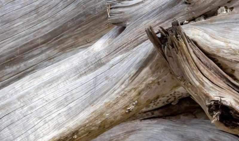 Tête de lit en bois flotté