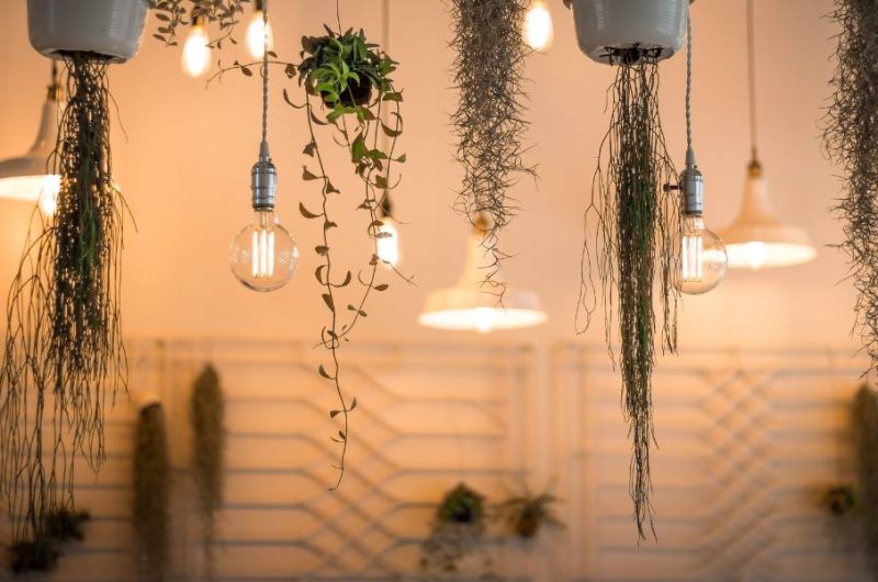 deco cocooning